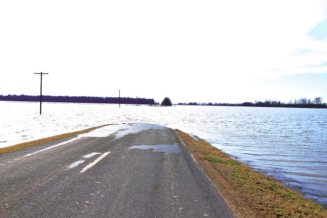 Backwater in BPNM Jan 5 2016.jpg